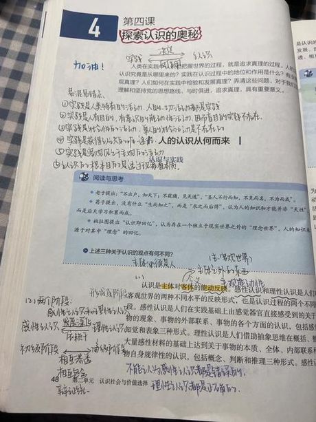 已经记不清楚我从哪里来：探索记忆的奥秘