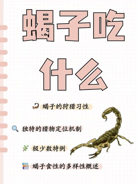 蝎子怎么吃最好，蝎子的最佳食用方法
