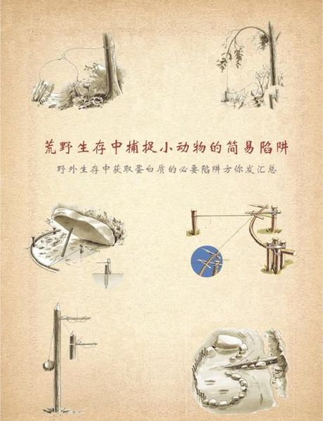 捕鸟陷阱用绳子怎么做，如何用绳子制作简易捕鸟陷阱