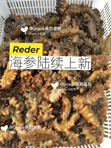 哪里海参便宜：海参选购指南
