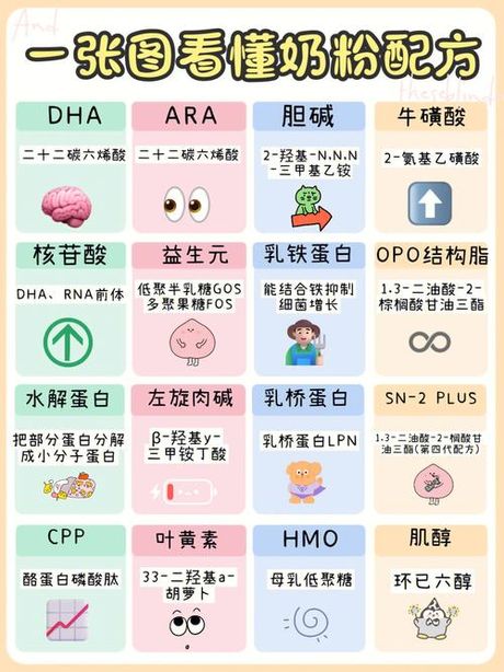 如何填写个人成分：一份实用的指南