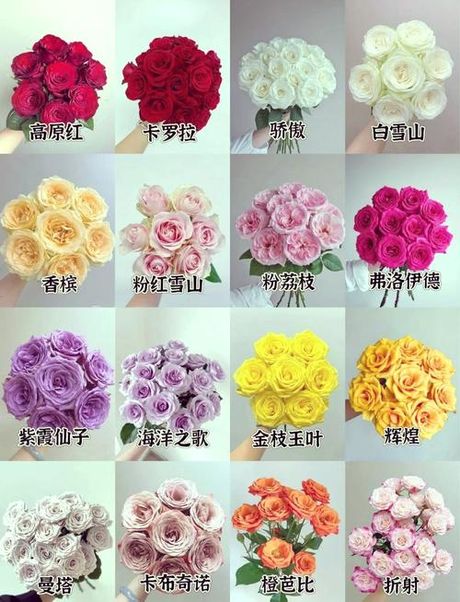 11朵玫瑰多少钱，11朵玫瑰价格百科