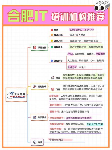 北大青鸟：探索IT教育的魅力