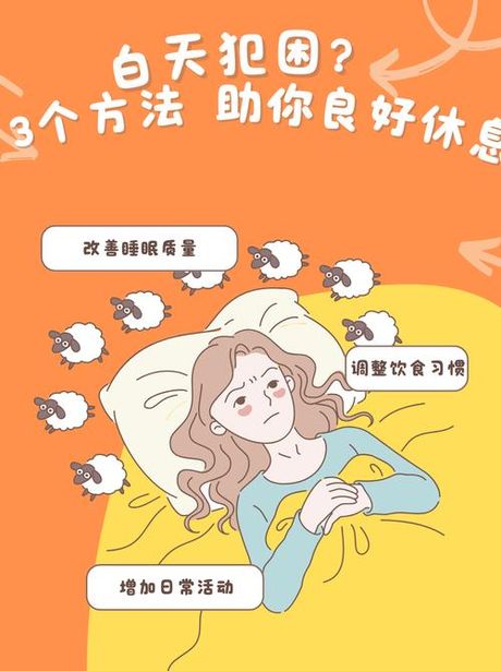 打盹的奥秘