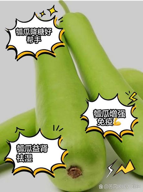 瓠瓜怎么读：探索这个独特词汇的发音