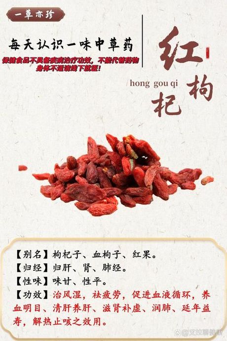 红枸杞的功效与作用及食用方法