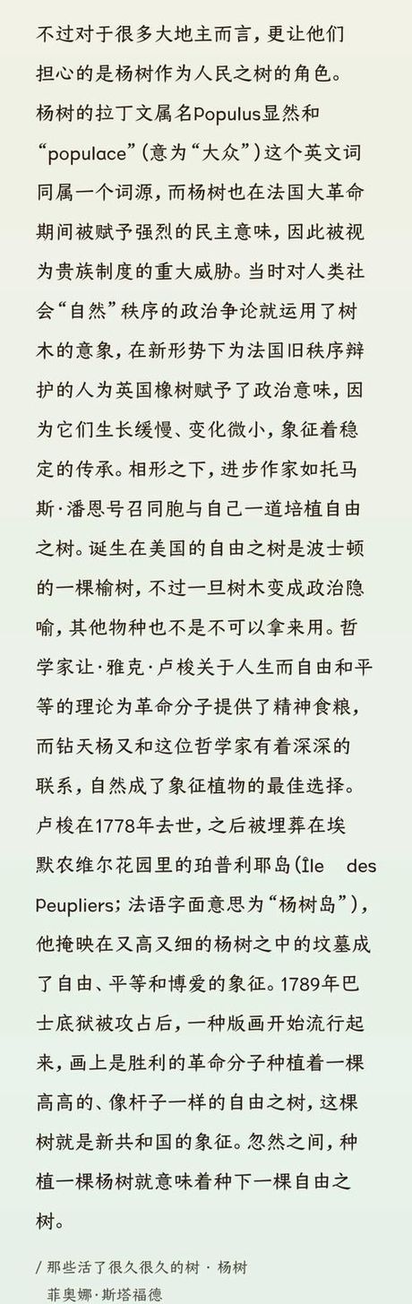 杨树林什么意思，杨树林含义解析