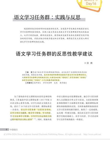 沙文主义：理解与反思