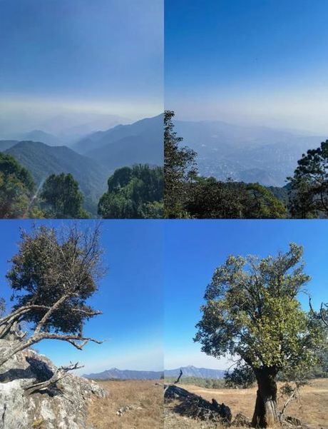 攀枝花海拔多少米，攀枝花海拔百科