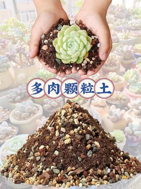多肉营养土怎么配，多肉植物营养土的配制方法