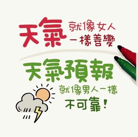 貌似是什么意思