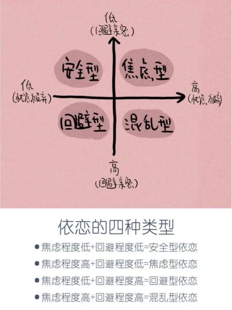 依恋：情感联系的深层探索