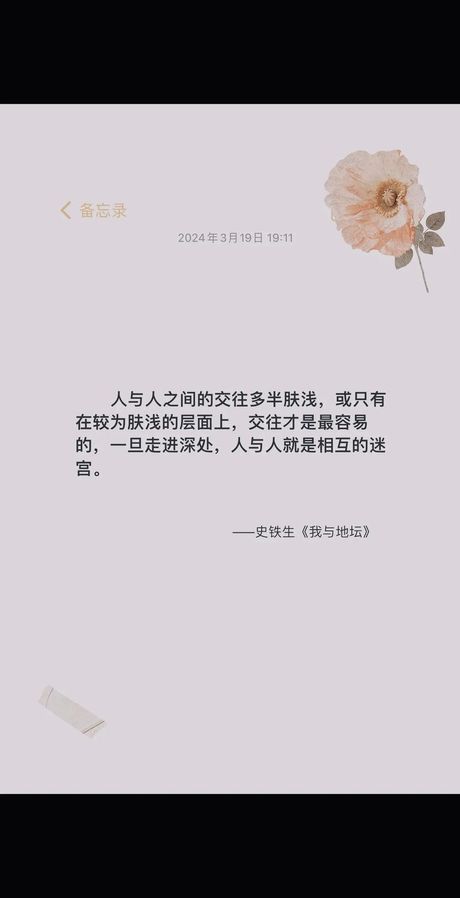 肤浅的意思