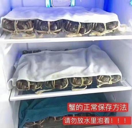 大闸蟹买回来怎么保存？