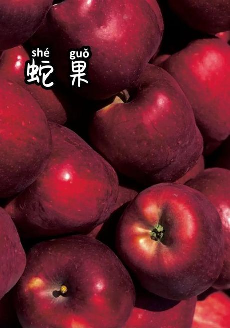 蛇果为什么叫蛇果