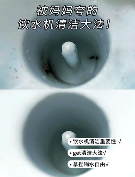 饮水机清洗方法