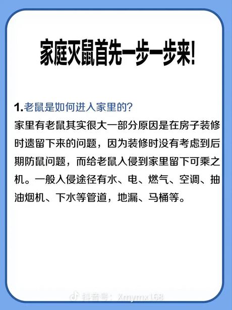 屋里有老鼠怎么办：综合防治策略