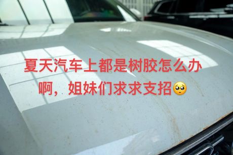 如何去除车上的树胶