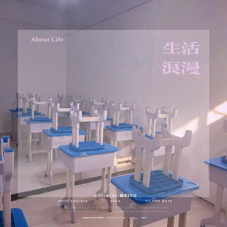 小饭桌的年度收入揭秘