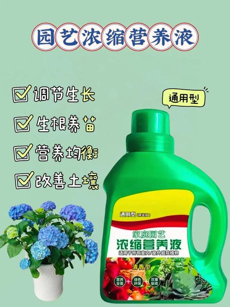花的营养液怎么使用？