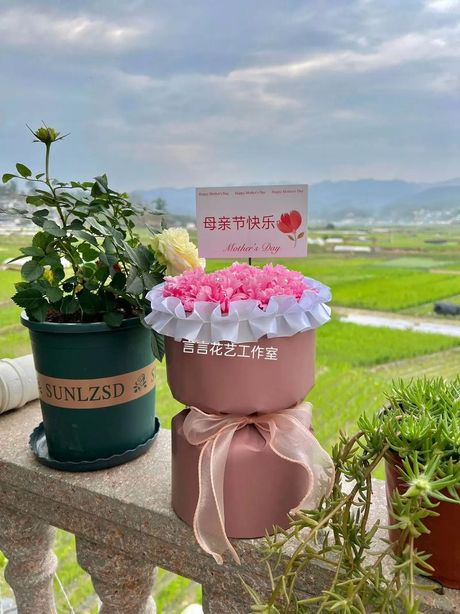 为什么不能送皂花：了解皂花的秘密