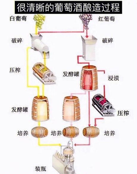 葡萄酒的制作方法与比例