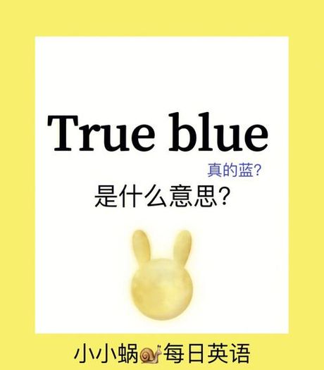 “True”一词的含义