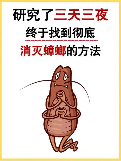 家里有蟑螂怎么办能除根