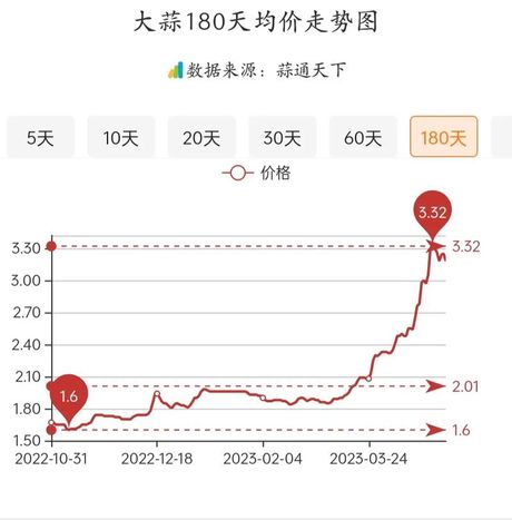 2019年大蒜价格波动解析