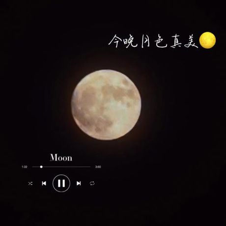 如何优雅地回应“今晚月色真美”
