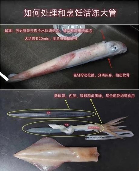 鱿鱼处理全攻略：从选购到烹饪