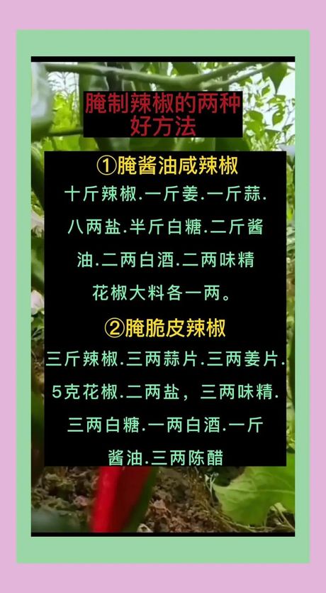 一斤辣椒放盐指南：科学比例与实用技巧