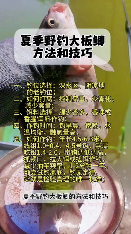 如何快速钓到鲫鱼