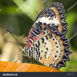 渐暖：2024年全球气候变化的严峻现实