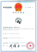 空气马甲：时尚新宠背后的故事