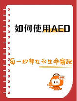 ecp是什么意思，ECP 是什么意思