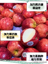 加力果产地在哪里，加力果的产地及特点