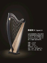 竖琴价格一般多少钱，竖琴价格及学费信息