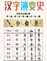 髦怎么读，探索汉字“髦”的读音与含义