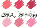 vb中flag是什么意思，VB中Flag的含义与用法