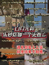 白月光与朱砂痣：情感世界的两种象征