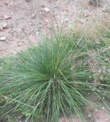 一新币等于多少人民币