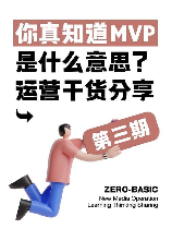 mvp什么意思中文，MVP中文意思及解释