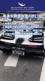 粤Z车牌：连接粤港澳门的桥梁