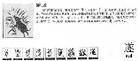 遂是什么意思，遂字释义