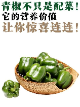 青椒：产量、价格与餐桌常客