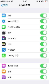 ios12怎么隐藏应用，iOS 12隐藏应用方法