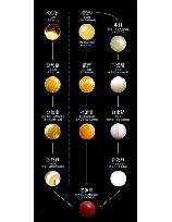 蜜蜡的形成：自然界的神奇之作