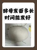 酵母发面9个小时可以吗