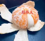 抖包袱是什么意思